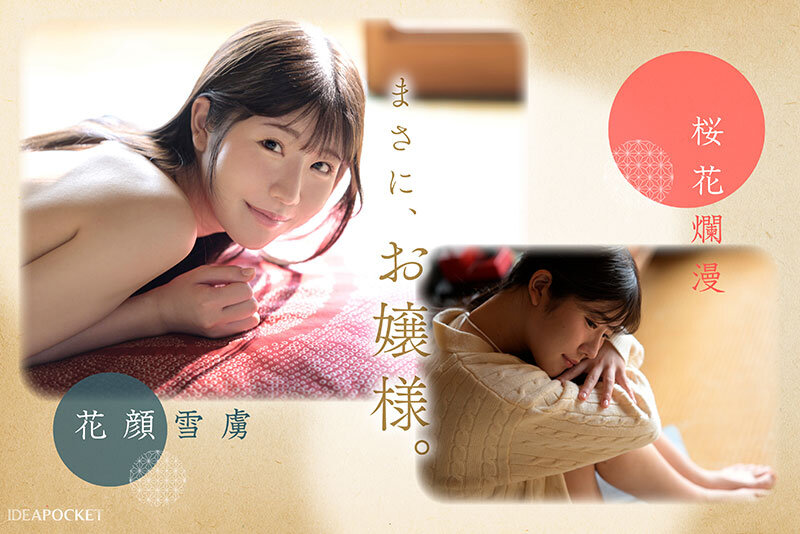 【衝撃の4.71/5.0】坂井美桜のデビュー作がヤバい！4K画質で迫る巨乳スレンダーの淫乱変貌と中出し絶頂【永久保存版】 - 画像3